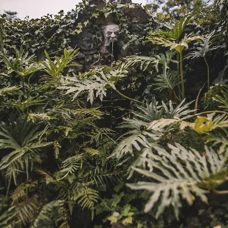 Quinta Torrinha Luxodream * Funchal (Madeira)