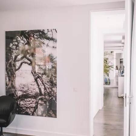Torrinha Luxo Dream Apartment Funchal (Madeira)