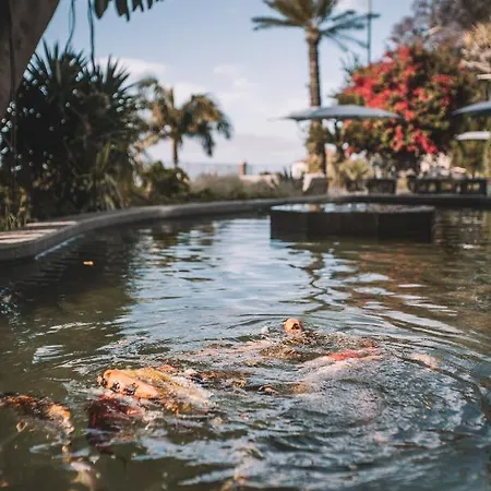 Quinta Torrinha Luxodream