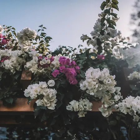 דירה Quinta Torrinha Luxodream