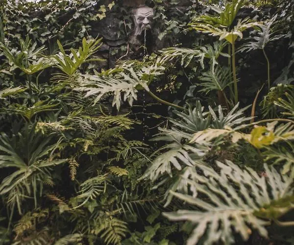 Quinta Torrinha Luxodream * פונשל