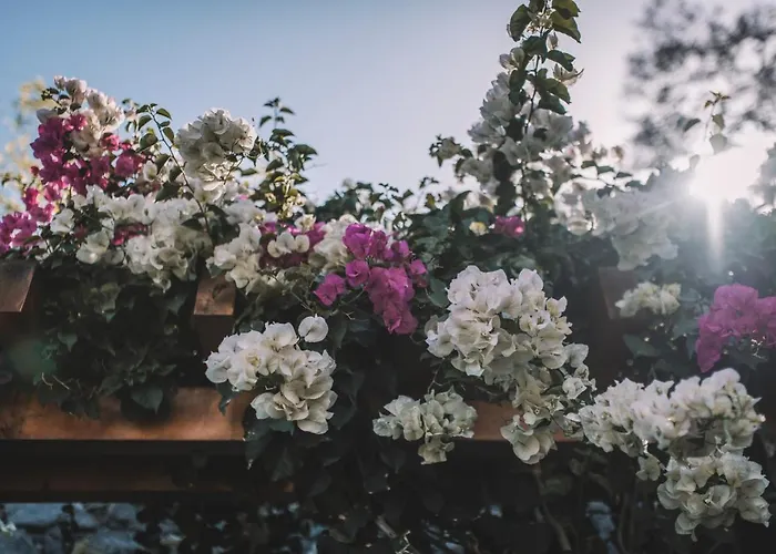 דירה Quinta Torrinha Luxodream