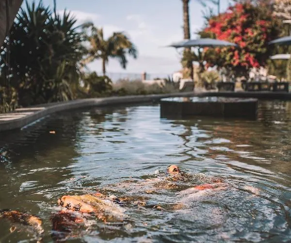 Quinta Torrinha Luxodream