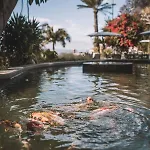Quinta Torrinha Luxodream